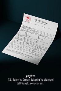 Doğal Beyaz Bal 350 G (KAFKAS BÖLGESİ'NDEN) ürün fotoğrafı
