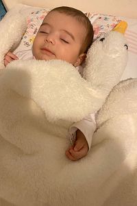 Krem Sevimli Çocuk Bebek Battaniyesi Ördek Kışlık Peluş Welsoft Kaz Battaniye ürün fotoğrafı