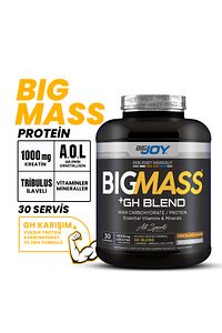 Mass Gainer Bigmass Gh Factors Karbonhidrat Tozu 3000 gr - Çikolata Aromalı - Shaker 500 ml ürün fotoğrafı