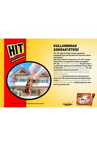 20gr Hit Anti Hamamböceği Jeli Böcek Ilacı - 02/2026 ürün fotoğrafı