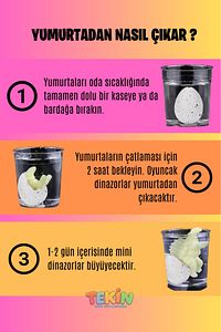8 Adet Islanınca Çatlayıp Büyüyen Dinozor Yumurtası Oyuncak Dinozor Yumurtası ürün fotoğrafı