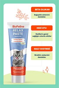 Kediler İçin Sakinleştirici ve Stres Azaltıcı Macun 100g ürün fotoğrafı