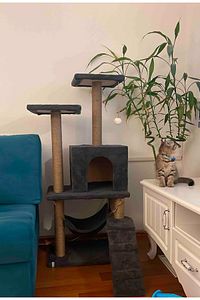 B-07 Hamaklı Yuvalı Lüx Kedi Tırmalama Evi Antrasit ürün fotoğrafı