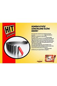 20gr Hit Anti Hamamböceği Jeli Böcek Ilacı - 02/2026 ürün fotoğrafı