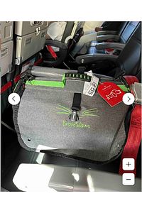 Flybag Plastik Yırtılmaz Fileli Kedi Ve Köpek Taşıma Çantası Seyahat Çantası Gri 45*25*26cm ürün fotoğrafı