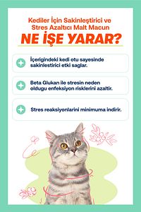 Kediler İçin Sakinleştirici ve Stres Azaltıcı Macun 100g ürün fotoğrafı