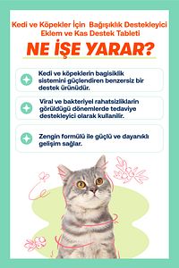 Yavru Kediler İçin Bağışıklık ve Genel Sağlık Destek Seti: Kitten Paste ve Immune C ürün fotoğrafı