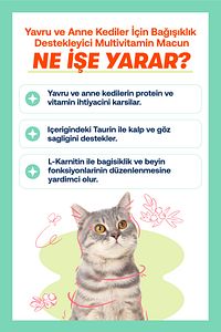 Yavru Kediler İçin Bağışıklık ve Genel Sağlık Destek Seti: Kitten Paste ve Immune C ürün fotoğrafı