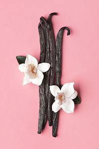 Bane Vanilla Noir Vücut Spreyi & Saç Spreyi / Body Mist & Hair Mist 250 ml ürün fotoğrafı