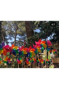 Rüzgar Gülü Gökkuşağı 7 Kanat 20 cm. ürün fotoğrafı