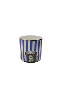 Wild Life Monkey Bardak 230cc ürün fotoğrafı