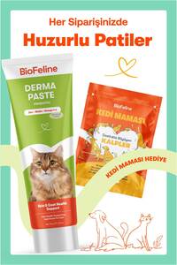 Kediler İçin Derma Kedi Malt Macunu – 100g ürün fotoğrafı