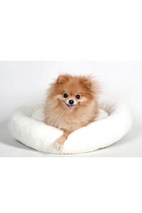 Yıkanabilir Beyaz Yumuşak A-kalite Polar Kedi Yatağı - Köpek Yatağı Çıkarılabilir Minder ürün fotoğrafı