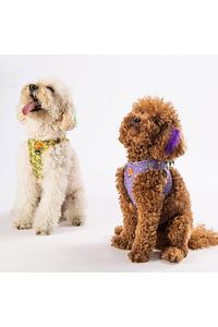 Ice Cream Air-mesh Göğüs Tasması Kedi Köpek Göğüs Tasması ürün fotoğrafı