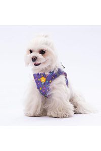 Ice Cream Air-mesh Göğüs Tasması Kedi Köpek Göğüs Tasması ürün fotoğrafı