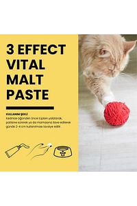 Kedi Malt Paste Kediler Için Tüy Yumağı Önleyen Malt Macun 100gr ürün fotoğrafı