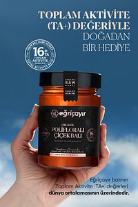 Organik Polifloralı Bal Ta16 450g ürün fotoğrafı