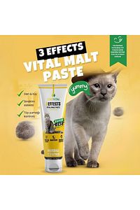Kedi Malt Paste Kediler Için Tüy Yumağı Önleyen Malt Macun 100gr ürün fotoğrafı