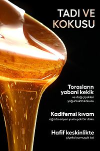 Organik Polifloralı(ÇOK ÇİÇEKLİ) Bal Ta16 300g ürün fotoğrafı