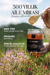 Organik Polifloralı Bal Ta16 850g ürün fotoğrafı