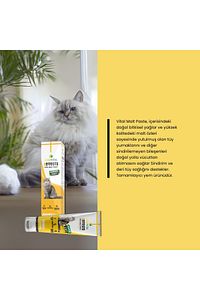 Kedi Malt Paste Kediler Için Tüy Yumağı Önleyen Malt Macun 100gr ürün fotoğrafı