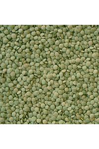 Yozgat Sultani Yeşil Mercimek 1000 gr ürün fotoğrafı