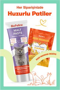 Kediler İçin Multivitamin ve Malt Macun Seti – Besleyici ve Tüy Sağlığı Destekleyici ürün fotoğrafı