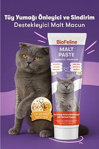 Kediler İçin Tüy Yumağı Önleyici ve Sindirim Destekleyici Malt Macunu 100g ürün fotoğrafı