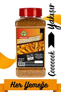 Kajun Baharatlı 600 Gr. Patates Çeşnisi Cajun Seasoning ürün fotoğrafı
