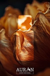 Amber Romantik Esansiyel Uçucu Koku Yağı Difüzör Esansı Buhurdanlık Yağı Aromaterapi Yağı 10ml ürün fotoğrafı