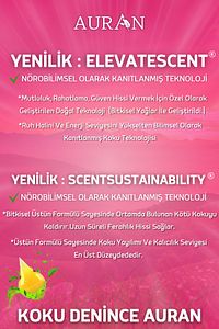 Japon Kirazı Esansiyel Uçucu Koku Yağı Difüzör Esansı Buhurdanlık Yağı Aromaterapi Yağı 10ml ürün fotoğrafı