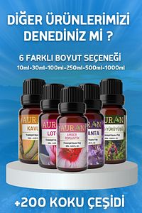Nefes Açıcı Nane Ve Okaliptüs Esansiyel Uçucu Koku Yağı Buhurdanlık Yağı Difüzör Esansı Küre 10ml ürün fotoğrafı