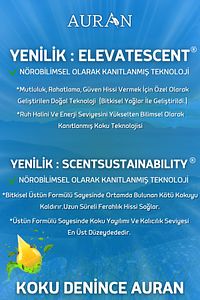 Nefes Açıcı Nane Ve Okaliptüs Esansiyel Uçucu Koku Yağı Buhurdanlık Yağı Difüzör Esansı Küre 10ml ürün fotoğrafı