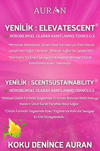 Amber Romantik Esansiyel Uçucu Koku Yağı Difüzör Esansı Buhurdanlık Yağı Aromaterapi Yağı 10ml ürün fotoğrafı