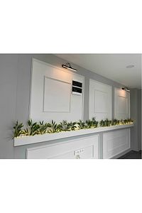Siyah Mat Gün Işığı (sarı) Banyo Duvar Ayna Tablo Aydınlatması Flüt Aplik Kuğu Aplik Ledli Aplik ürün fotoğrafı