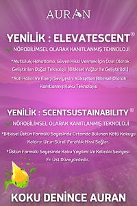 Lavanta Esansiyel Uçucu Koku Yağı Buhurdanlık Yağı Difüzör Esansı Hobi Esans Ortam Oda Kokusu 10ml ürün fotoğrafı