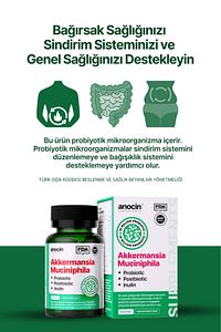 Akkermansia Muciniphila Probiyotik + Prebiyotik + Postbiyotik + inulin . x6 kat daha çok akkermansia ürün fotoğrafı