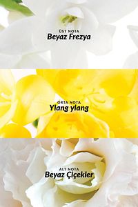 Pur Blanca Kadın Parfüm Losyon Rollon ve Vücut Spreyi Seti ürün fotoğrafı