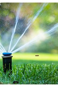 Greenbiz 7 Günde Çimlenen Üzerine Basılabilir Alkano 6'lı Karışım Çim Tohumu 1kg ürün fotoğrafı