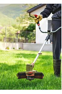 Greenbiz 7 Günde Çimlenen Üzerine Basılabilir Alkano 6'lı Karışım Çim Tohumu 1kg ürün fotoğrafı