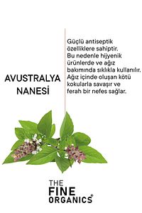 Avustralya Nanesi Özlü Diş Temizleme ve Beyazlatma Mendili ürün fotoğrafı