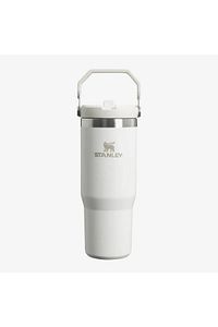 The Iceflow Flip Straw Beyaz Pipetli Termos Bardak 0,89 Lt ürün fotoğrafı