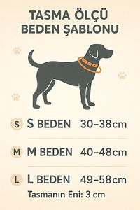Turuncu Yumuşak Dokulu Kolon Köpek Tasması Köpek Boyun Tasması ürün fotoğrafı