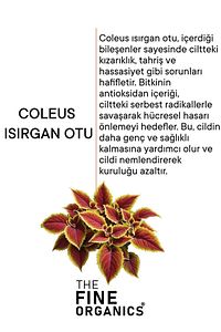 Isırgan Otu Özlü Tüy Inceltici Ve Nemlendirici Bakım Sütü, 50 ml ürün fotoğrafı