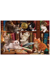 500 Parça Yapboz Puzzle - Kediler Ve Kitaplar 3618 ürün fotoğrafı