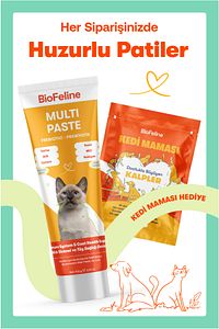 Kediler Için Bağışıklık Destekleyici Ve Tüy Yumağı Önleyici Multivitamin Macun 100g ürün fotoğrafı