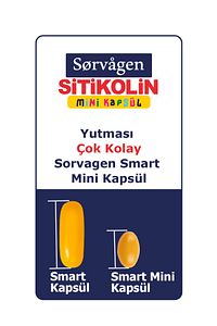 Smart Mini Kapsül Sitikolin, Dha Omega 3 Ve B12 - 60 Kapsül ürün fotoğrafı