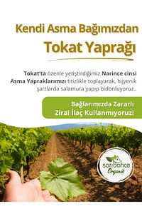 Tokat Yaprağı 5 Kg - Yeni Sezon Hakiki Erbaa Yaprağı ürün fotoğrafı