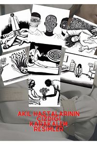 Dedektiflik Oyunu, Akıl Hastaları Cinayet Çözme Ve Katili Bulma Oyunu, Suçluyu Bulma- Dedektif Oyunu ürün fotoğrafı
