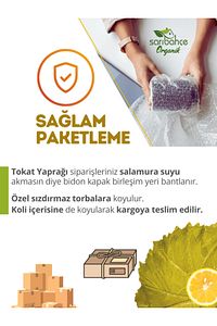 Tokat Yaprağı 5 Kg - Yeni Sezon Hakiki Erbaa Yaprağı ürün fotoğrafı